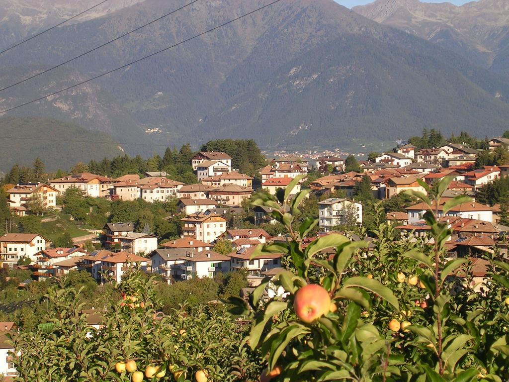 Agritur Rizzi Di Inama Ugo Alloggio per agriturismo Coredo