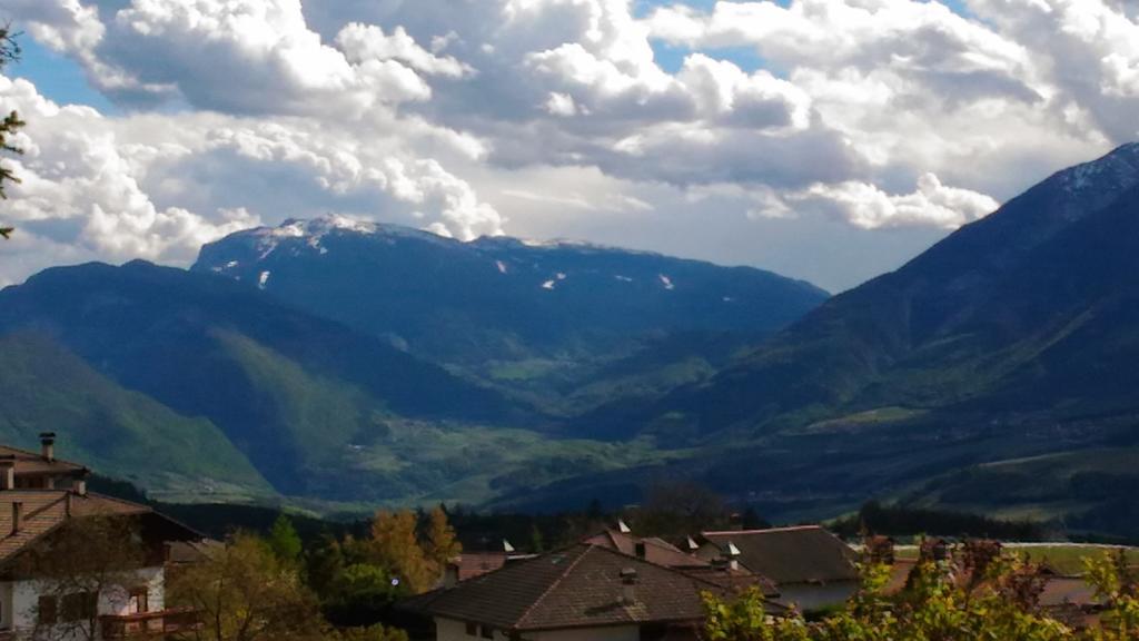 Agritur Rizzi Di Inama Ugo Alloggio per agriturismo *